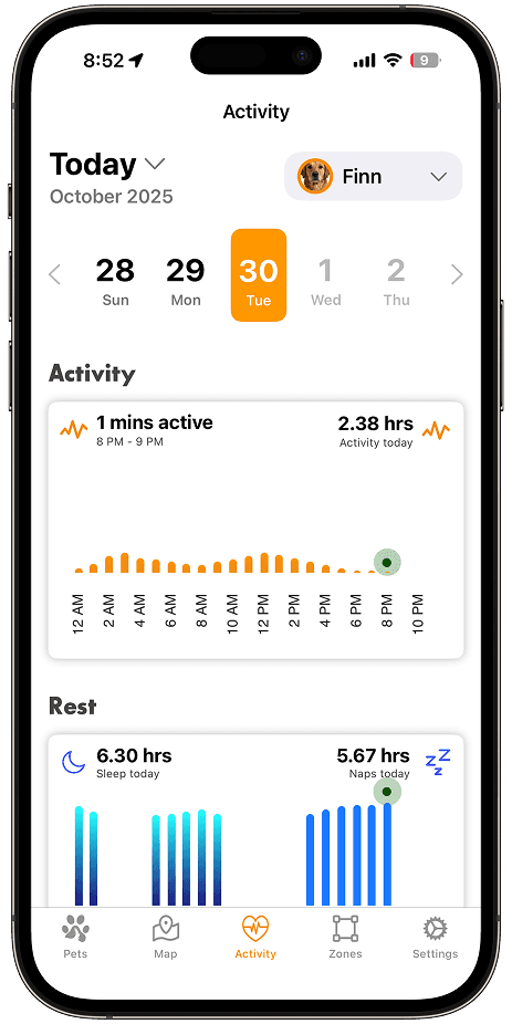 Live activity view in the ToughTail app